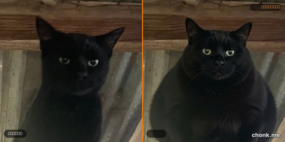 Before and after body meme — Dominic's 10x chonk